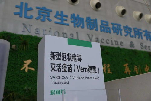 本土新增108例，防疫健康包與應對指南