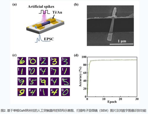新型氮化鎵基光電器件 中國科學院突破效率瓶頸，助推綠色半導體革命