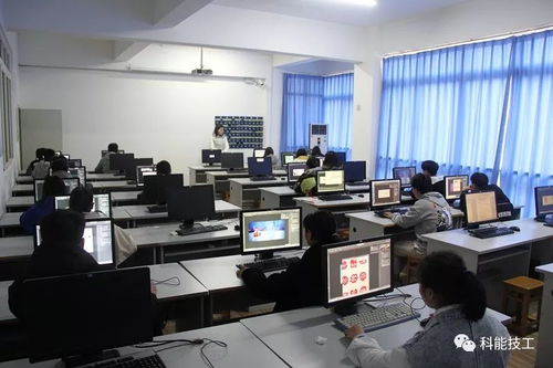 技能點(diǎn)亮未來(lái)，服務(wù)鑄就夢(mèng)想——現(xiàn)代服務(wù)系技能競(jìng)賽月活動(dòng)圓滿落幕